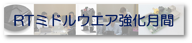 rtmkyouka2013.png